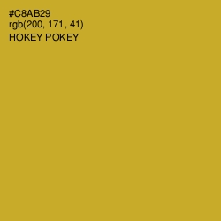 #C8AB29 - Hokey Pokey Color Image